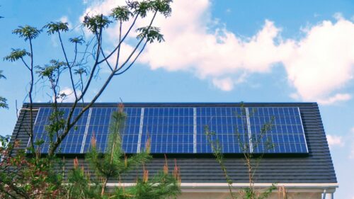 2025年の売電価格はどうなる？FIT制度の仕組みと将来の選択肢